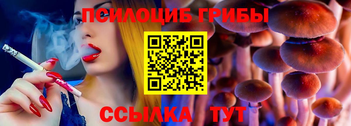 Борзя  Псилоцибиновые грибы Cubensis  Псилоцибиновые грибы MAGIC MUSHROOMS  Вход с VPN 